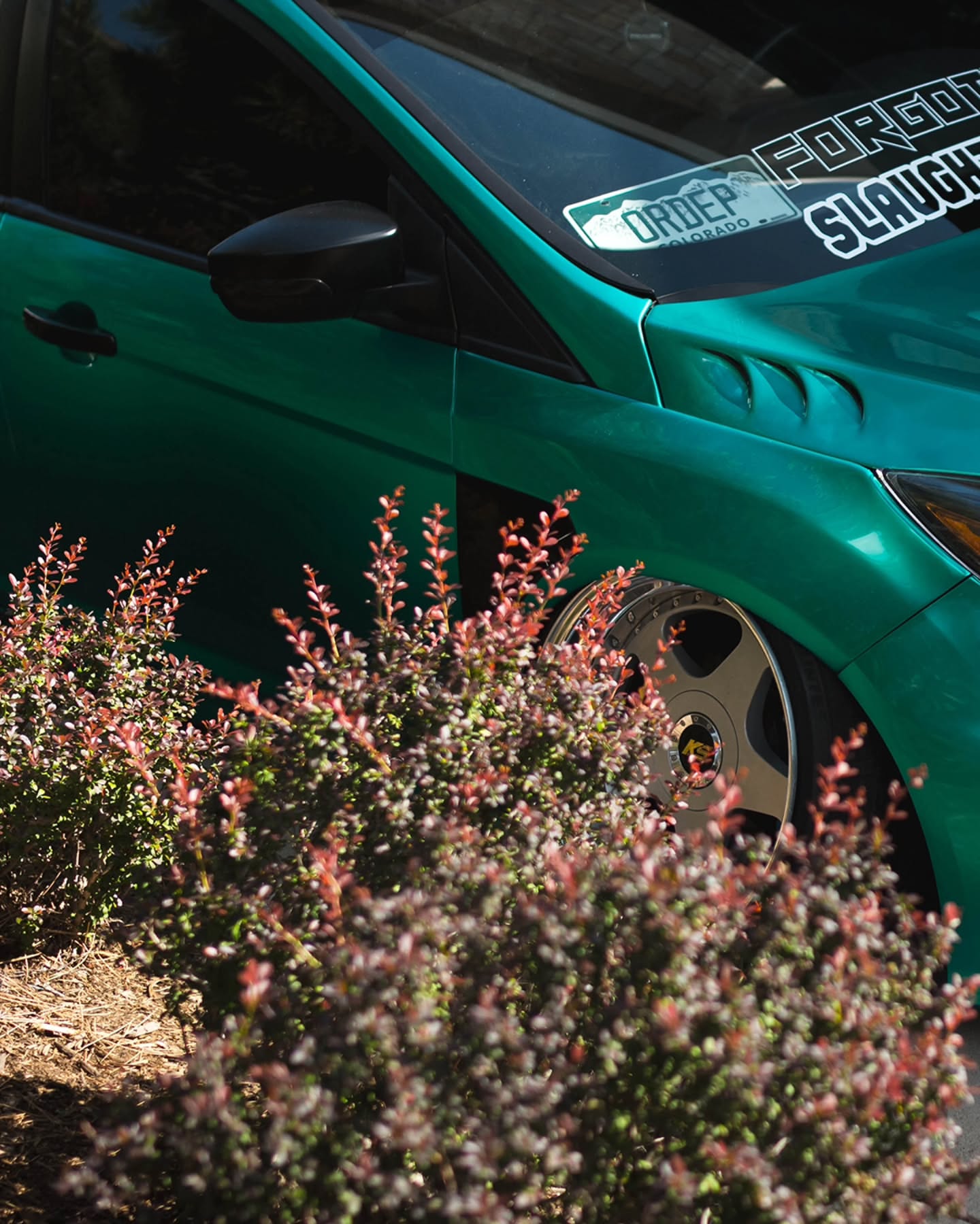 Gloss Liquid Ivy - ELITE - ARMR Color PPF Paint Protection Film Roll