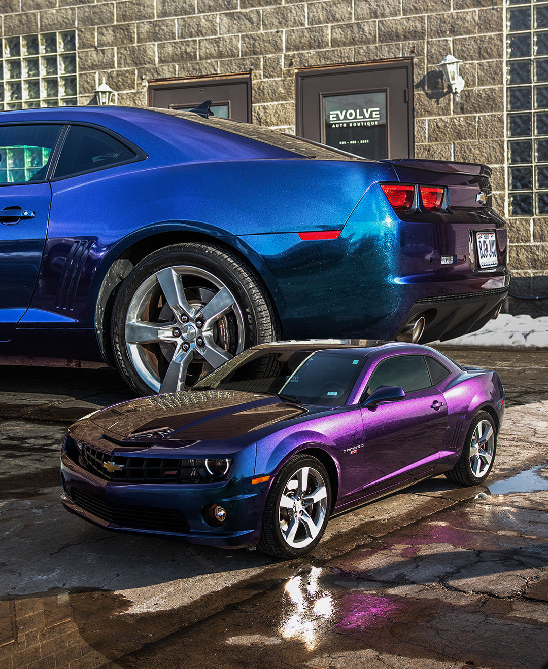 Clear Glossy Blurple - ARMR PPF Paint Protection Film Roll