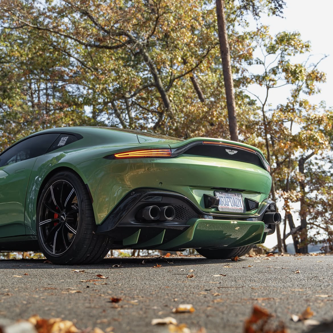 Gloss Sting Green - ARMR Color PPF Paint Protection Film Roll