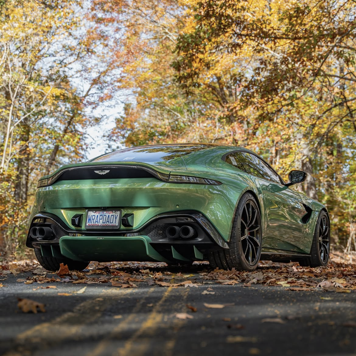 Gloss Sting Green - ARMR Color PPF Paint Protection Film Roll